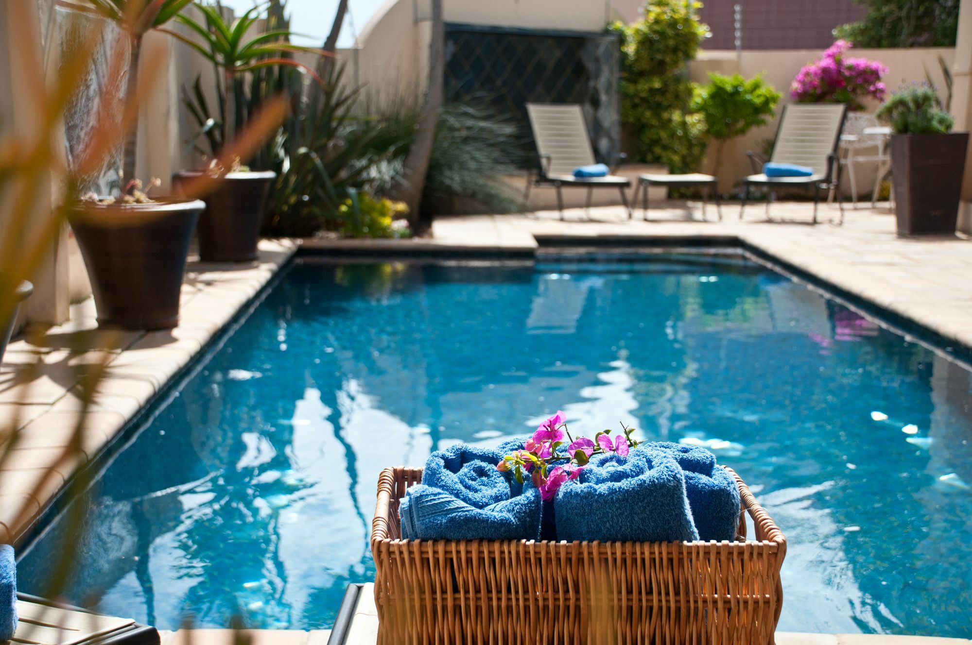 Cape Flame Guest House Port Elizabeth Exterior foto